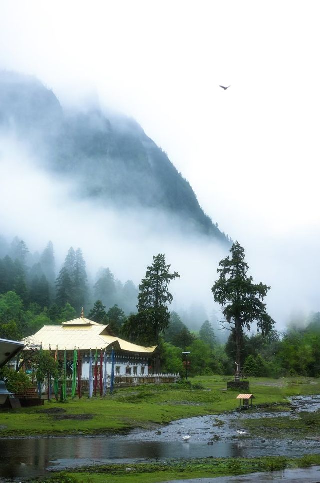 2025雲南絕美秘境之旅天堂在左雨崩在右