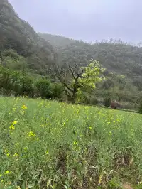 快碼住桐廬兩日|徒步|小眾富春江遊船攻略