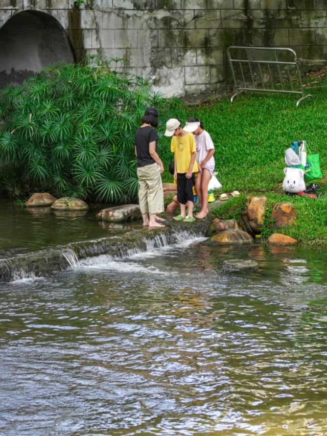 陰雨天の森系秘境