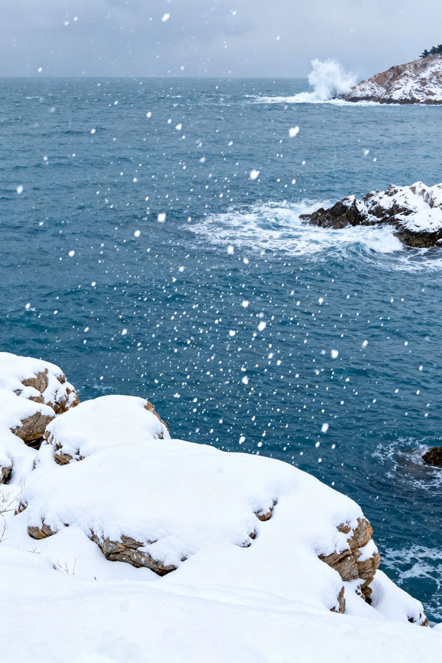 今年冬天，一定要和喜歡的人去看場雪｜6大高性價比看聖雪地推薦