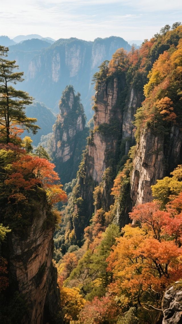 金秋張家界4天3晚，深度慢遊峰林仙境！旅遊攻略！