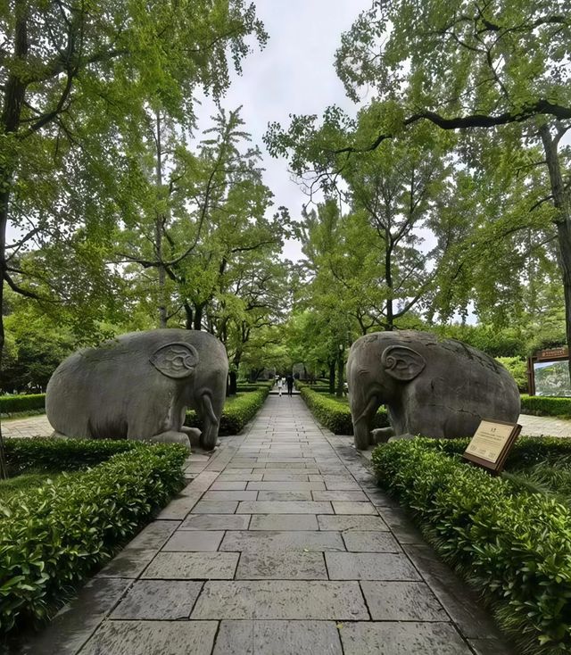 踏入明孝陵神道，歷史，觸手可及。