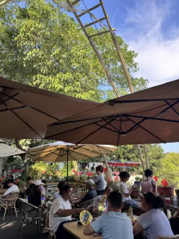 하구 일일 투어｜중월 국경의 커피 향기+수영장에서 누워 즐기는 행복