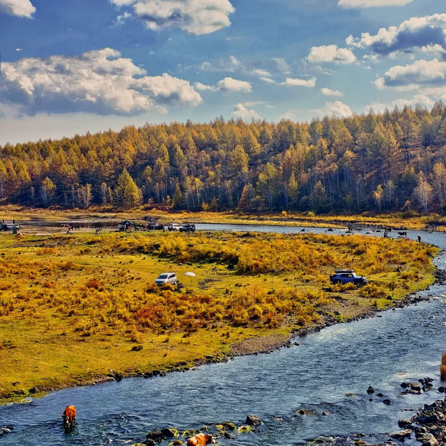 🇨🇳아얼샨, 자연의 아름다움과 불편한 현실 사이 🏔️ 🇨🇳아얼샨, 자연의 아름다움과 불편한 현실 사이 🏔️