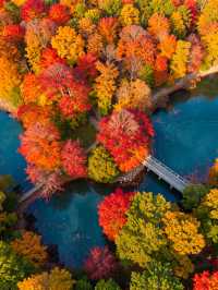 秋日仙境｜藏在雲平山的絕美調色盤