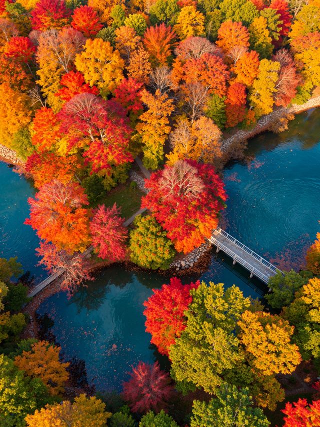 秋日仙境｜藏在雲平山的絕美調色盤