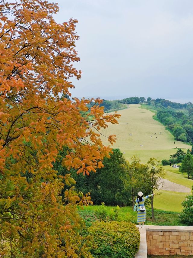 南昌週末去哪兒？江西阿勒泰藝術館！
