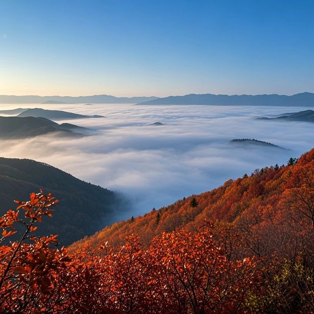 六盤山雲海打卡指南