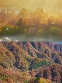 這是每年秋天我都會去一次的賞秋路線，武漢2h！