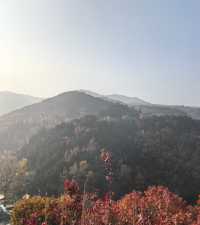 濟南賞秋之紅葉谷