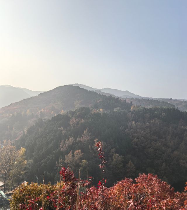 濟南賞秋之紅葉谷 濟南賞秋之紅葉谷