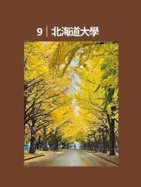 🍂2025-2026 全球賞秋景點 TOP10