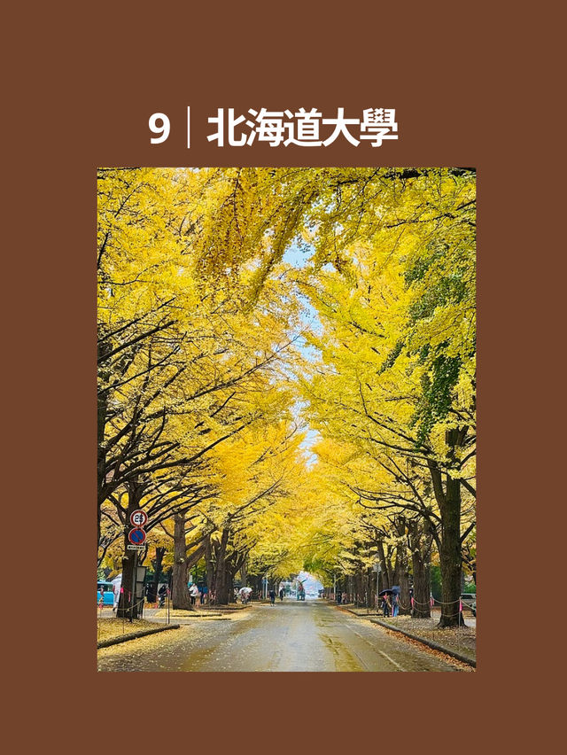 🍂2025-2026 全球賞秋景點 TOP10