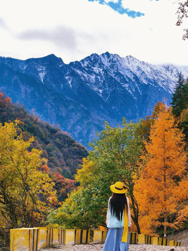 綿陽寶藏賞秋地 | 扒昔加古寨,免費解鎖秋日童話! 綿陽寶藏賞秋地 | 扒昔加古寨,免費解鎖秋日童話!