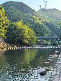 諸暨芳草地，住進了森林裡！