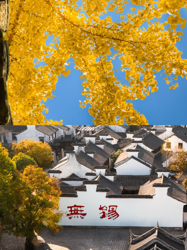 我以為蘇州的秋天夠美了，直到我來了無錫！