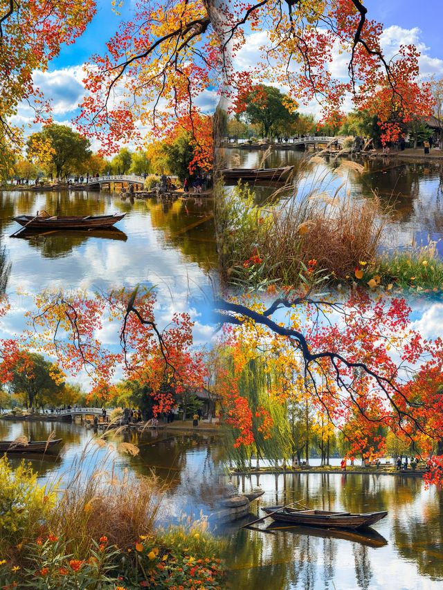 南京莫愁湖賞秋攻略｜一年一度做「飽和度戰士」的時間到啦！