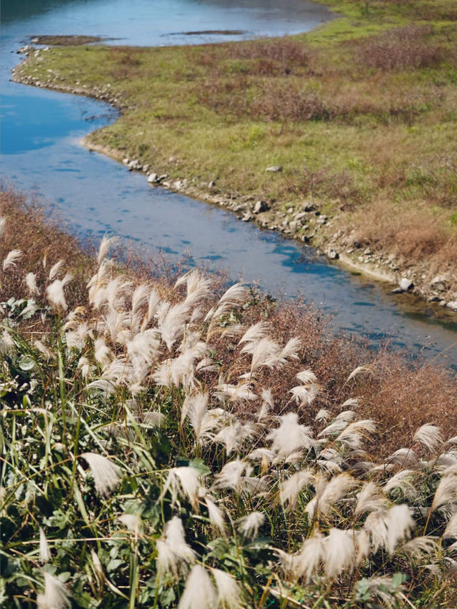 上海3h直達!初冬闖入畫龍村,在浙東古道邂逅瀑布梯田與治癒 上海3h直達!初冬闖入畫龍村,在浙東古道邂逅瀑布梯田與治癒