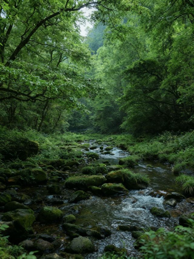 張家界3日遊，秋日必衝！