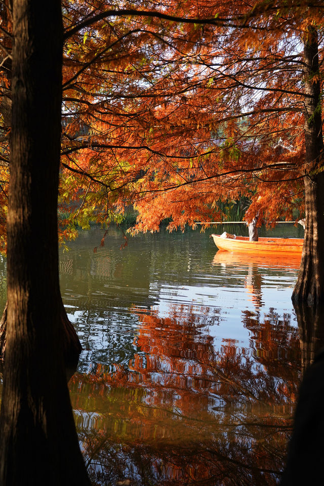 一腳跌進燕雀湖油畫森林 一腳跌進燕雀湖油畫森林