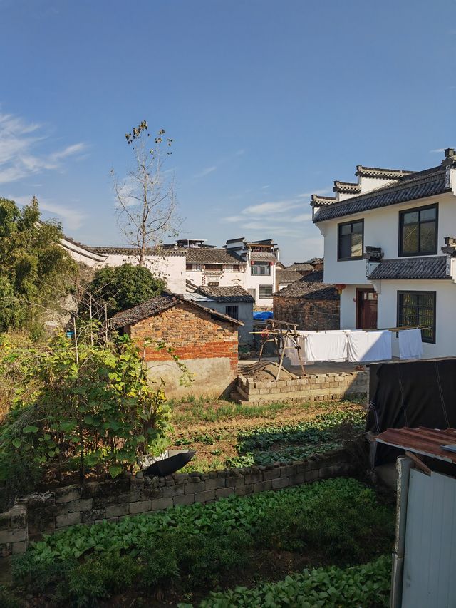 呈坎2天1夜｜被魚燈點亮的風水古村