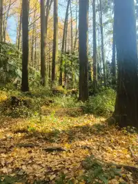 都江堰靈巖寺最容易領的獎牌