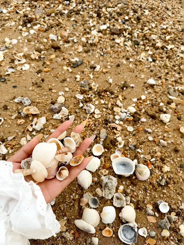 奔赴三亞只為18張圖｜這波海島值哭了