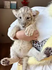 朋友圈問爆了!不是肯亞!是宜春