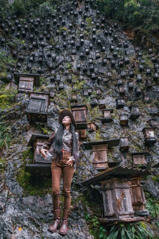 신농가｜절벽 벌통=천리 중에 하나뿐인 촬영 포인트