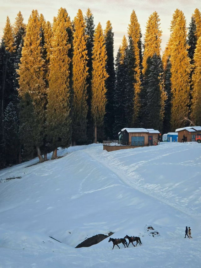 伊犁|冬天的避寒之地 伊犁|冬天的避寒之地