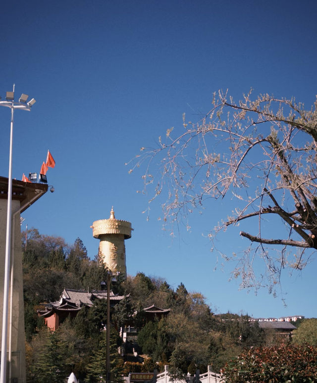 鴻達酒店的機器人怕不是成精了? 鴻達酒店的機器人怕不是成精了?