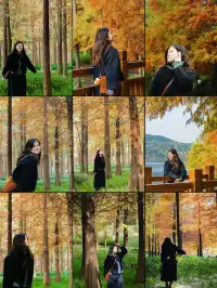 德陽東湖山水杉林紅了！陽光穿透紅杉林絕美