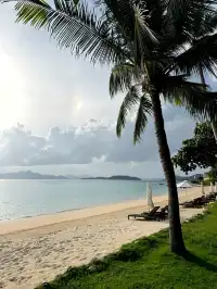 4個被低估的海島盲盒玩法