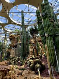 不愧是上海公園美到「未來感」拉滿