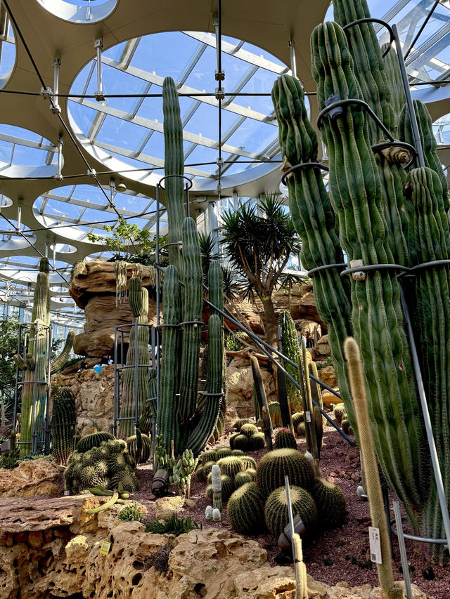 不愧是上海公園美到「未來感」拉滿 不愧是上海公園美到「未來感」拉滿