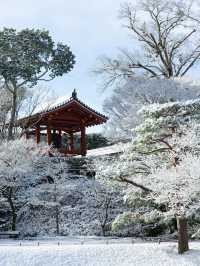 日本冬季遊·暴雪後的京都才是真的瘋狂了！