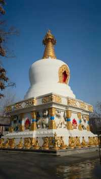 金塔藍天下佛光普照