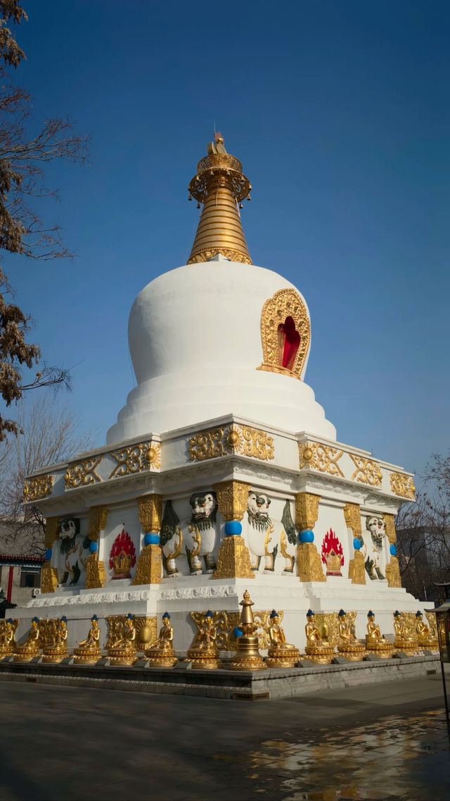 金塔藍天下佛光普照