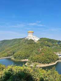 講真！花一百多去看個大金佛值不值？大實話全在這