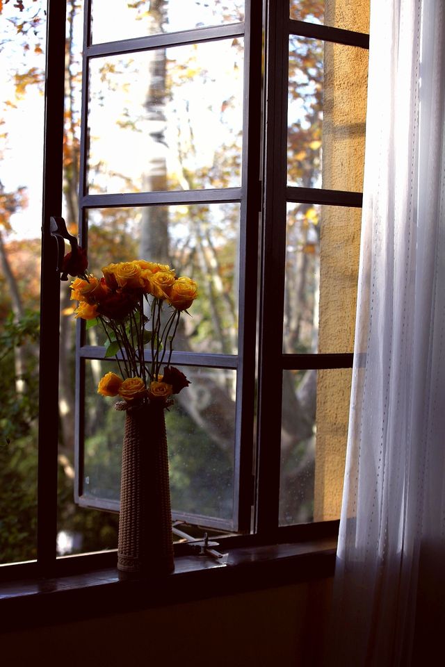 南京三天遊(秋天的尾巴) 南京三天遊(秋天的尾巴)