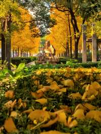 一場落在肇嘉浜路中的銀杏雨。