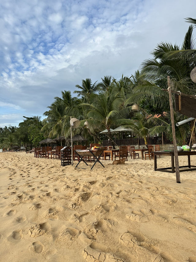 3 Perfect Days in Phu Quoc: Beaches, Islands & Night Adventures 3 Perfect Days in Phu Quoc: Beaches, Islands & Night Adventures