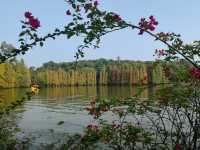 肇慶七星岩|闖入現實版山水畫!隨手拍都是大片! 七星岩,肇慶必去!喀斯特地貌+湖泊,一秒穿越