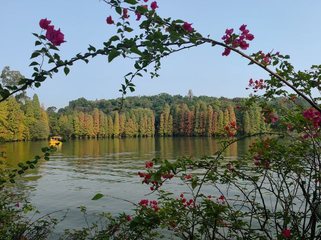 肇慶七星岩|闖入現實版山水畫!隨手拍都是大片! 七星岩,肇慶必去!喀斯特地貌+湖泊,一秒穿越 肇慶七星岩|闖入現實版山水畫!隨手拍都是大片! 七星岩,肇慶必去!喀斯特地貌+湖泊,一秒穿越