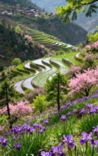 絕美金沙江梯田漫步