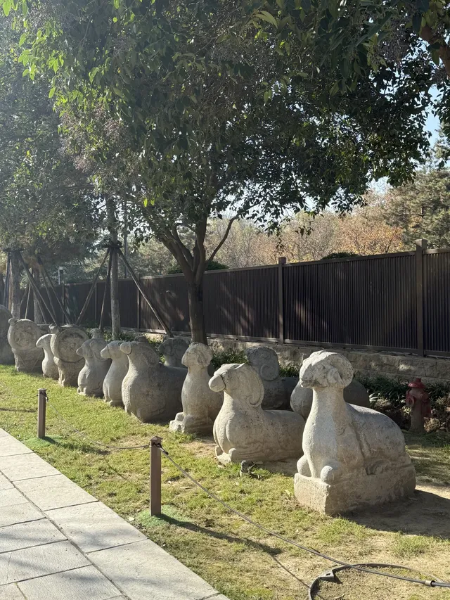 實況link被西安小雁塔的銀杏給驚艷到啦 實況link被西安小雁塔的銀杏給驚艷到啦