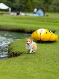 康定月亮湖遛狗人新玩法懶人露營更適合