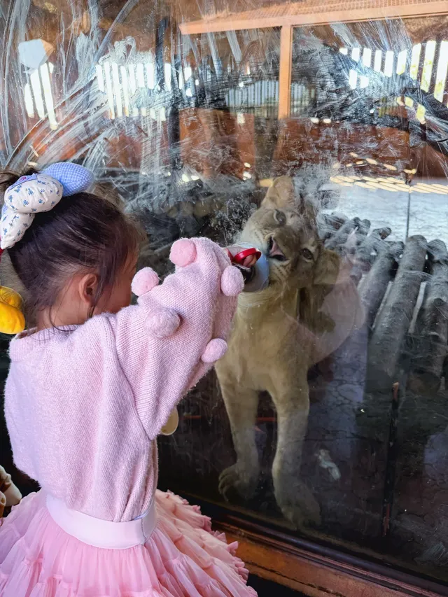 南昌周邊遊|遛娃天花板唯美動物世界 南昌周邊遊|遛娃天花板唯美動物世界
