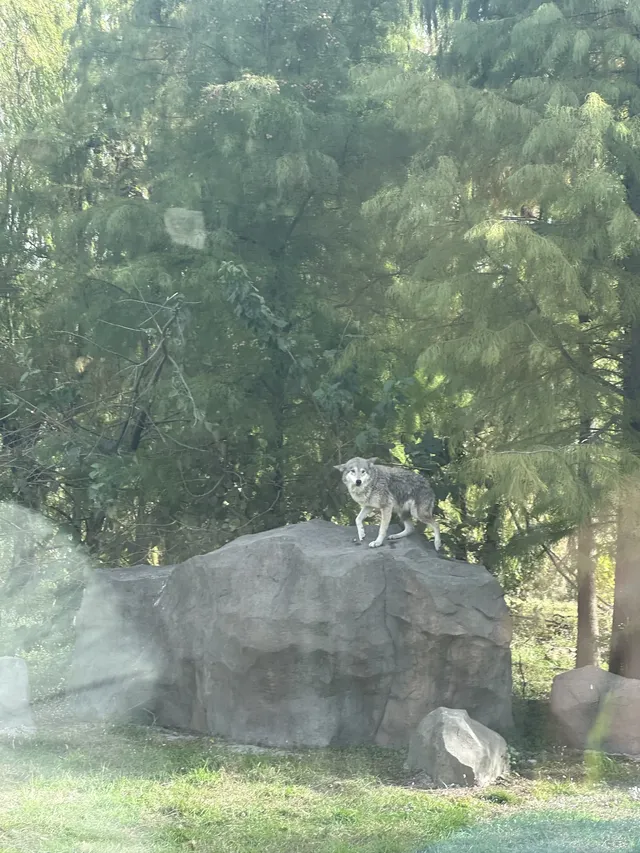 30歲不薅羊毛，更待何時！