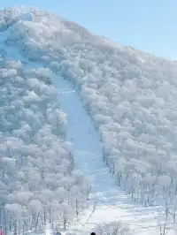 今日北大湖霧淞大賞,最強看霧淞攻略